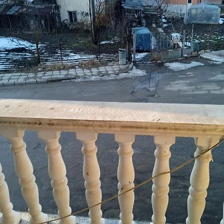 фунги